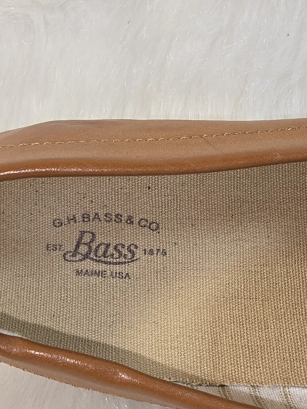 GH Bass 